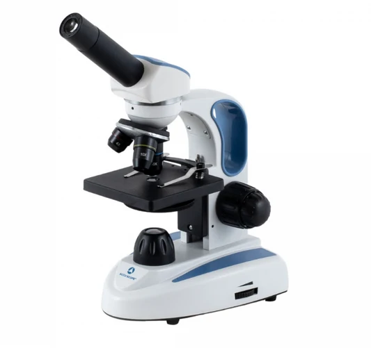 Compound microscope