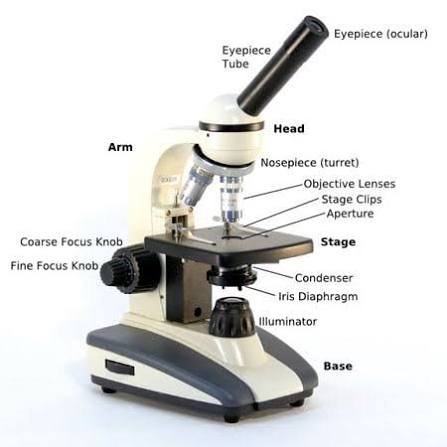 Labeled Microscope