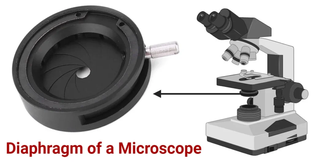 Clean and Care for a Microscope