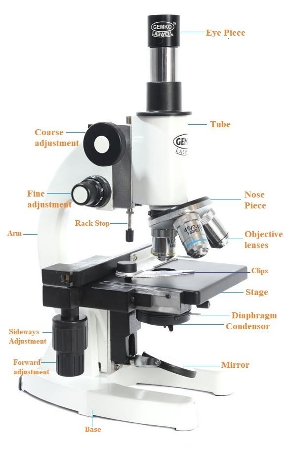 Microscope Labeled Parts
digital microscope