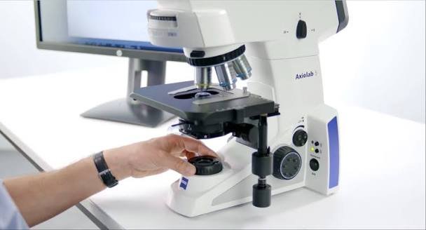 Diaphragm Microscope Function