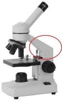 Function of the Arm in a Microscope