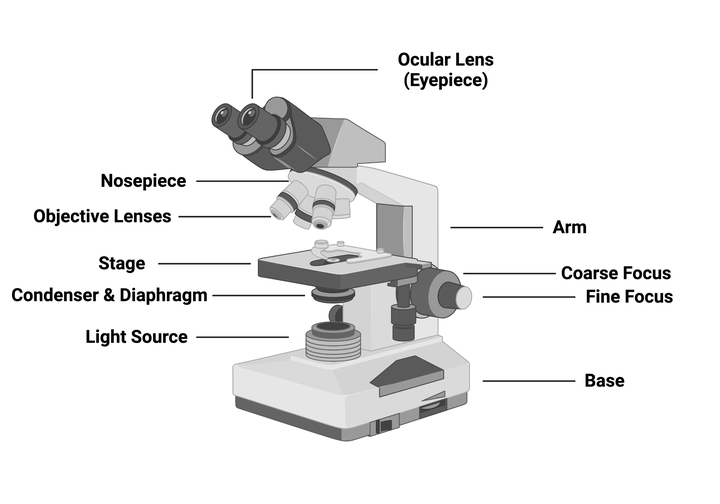 Labeled Microscope