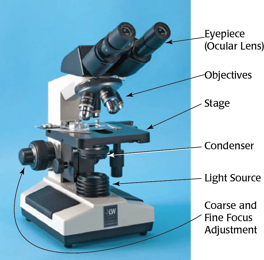 Labeled Microscope