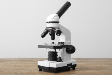 Compound Microscope