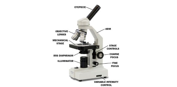 Microscope Parts