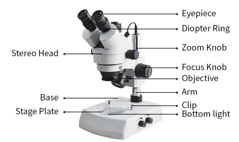 Definition of the Microscope