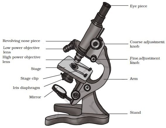 label of a compound microscope