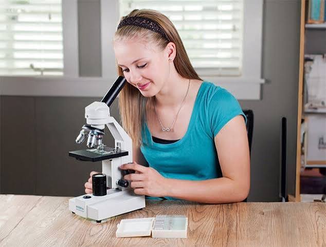 Best Microscope for Home Use Beginners