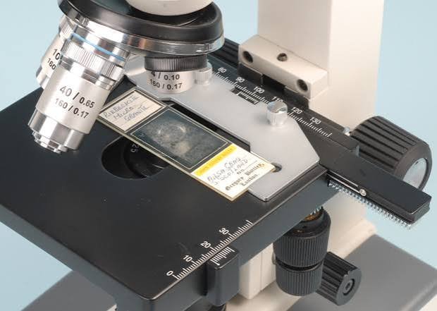 Stage on a Microscope